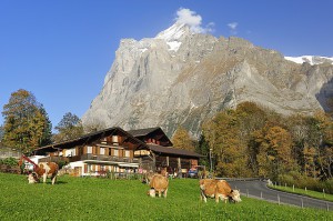 Ferien auf dem Bauernhof