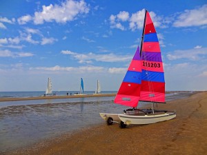 sailing-catamaran-567682_640